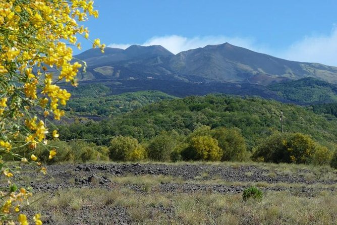 Mt. Etna nature and flavors half day Tour from Catania - Finishing with honey, wine, and Sicilian farm products