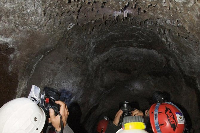 Mt. Etna nature and flavors half day Tour from Catania - Guides, languages, and the small-group feel