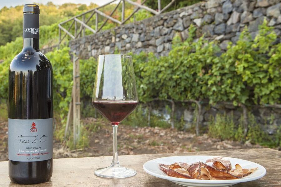 Mt. Etna Private Tour with Food and Wine Tasting - What the $305.87 price includes