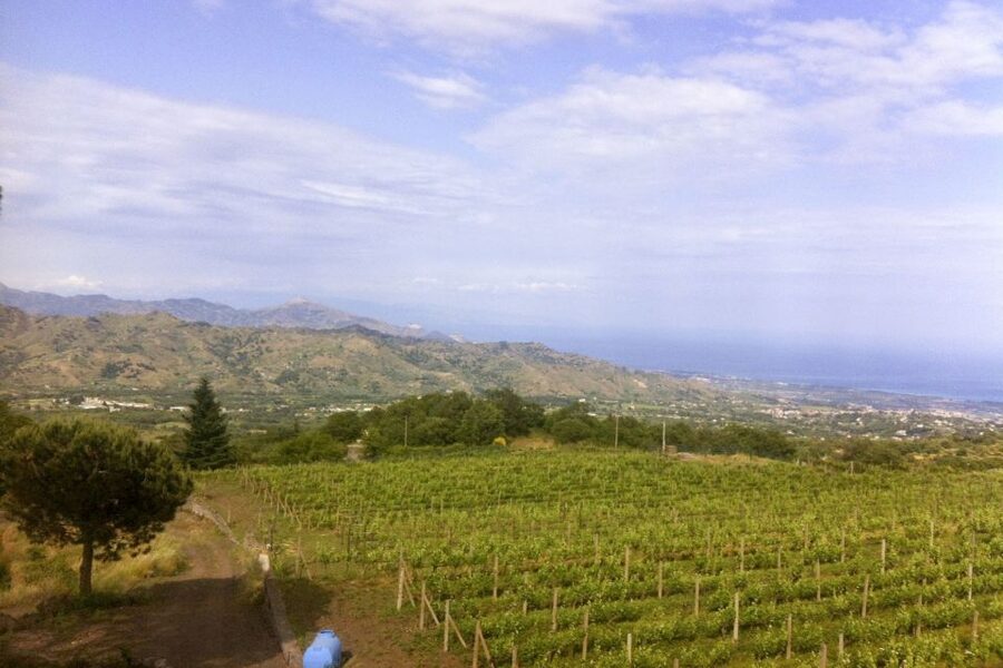 Mt. Etna Private Tour with Food and Wine Tasting - A private ride from Taormina to the volcano