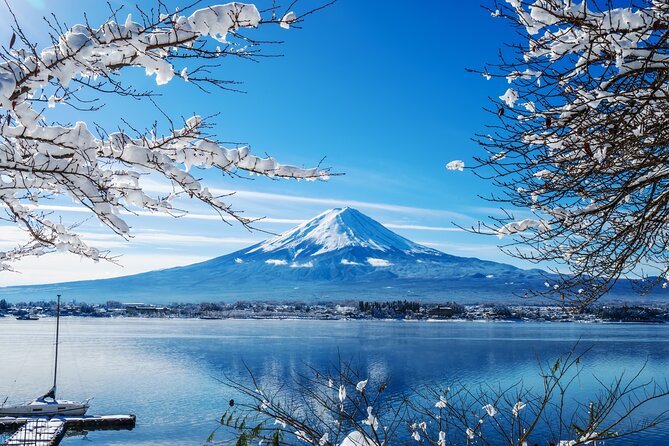 "Mt. Fuji 1-Day Private Tour with English Speaking Driver-Guide" - Why a private road trip makes sense from Tokyo
