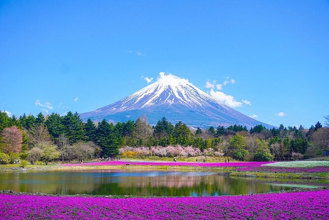"Mt. Fuji 1-Day Private Tour with English Speaking Driver-Guide" - What the driver-guide adds to the day
