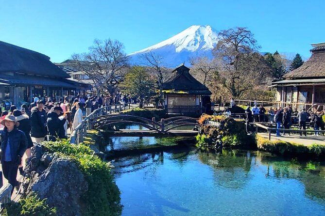 "Mt. Fuji 1-Day Private Tour with English Speaking Driver-Guide" - How to handle the weather and the tight schedule