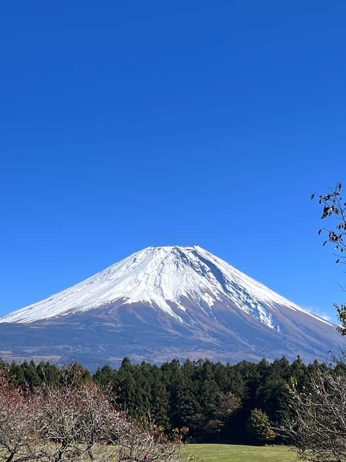Mt. Fuji: 2-Day Climbing Tour with Mountain Guide - Is $435 a fair price?