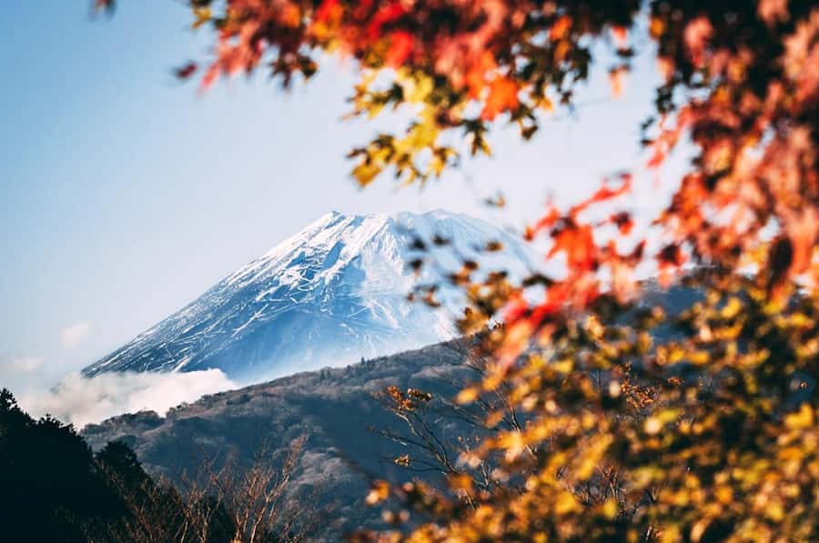 Mt. Fuji 6 Attractions Tour: Lake Kawaguchi, Oshino Hakkai - Six details that shape the day