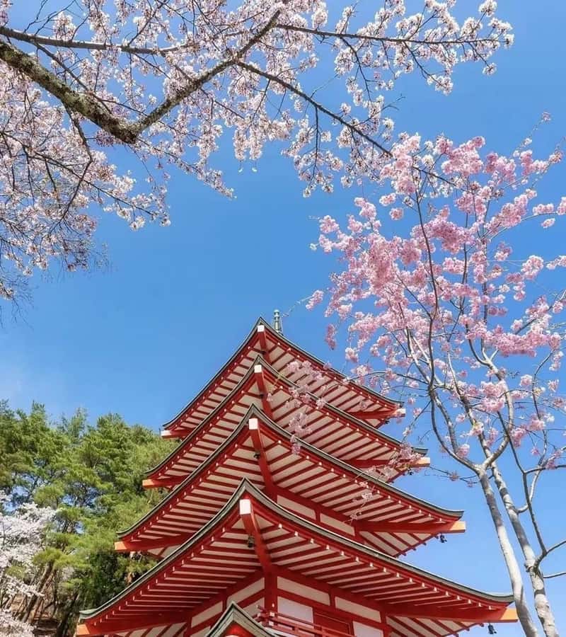 Mt. Fuji 6 Attractions Tour: Lake Kawaguchi, Oshino Hakkai - Oshino Hakkai and Mt. Fuji’s clear springs