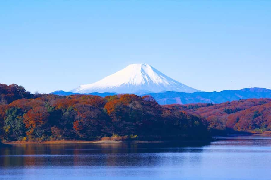 Mt. Fuji 6 Attractions Tour: Lake Kawaguchi, Oshino Hakkai - Oishi Park beside Lake Kawaguchi