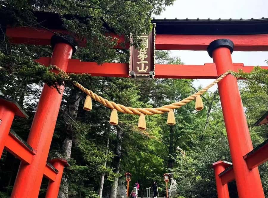 Mt. Fuji 6 Attractions Tour: Lake Kawaguchi, Oshino Hakkai - The famous Lawson photo stop
