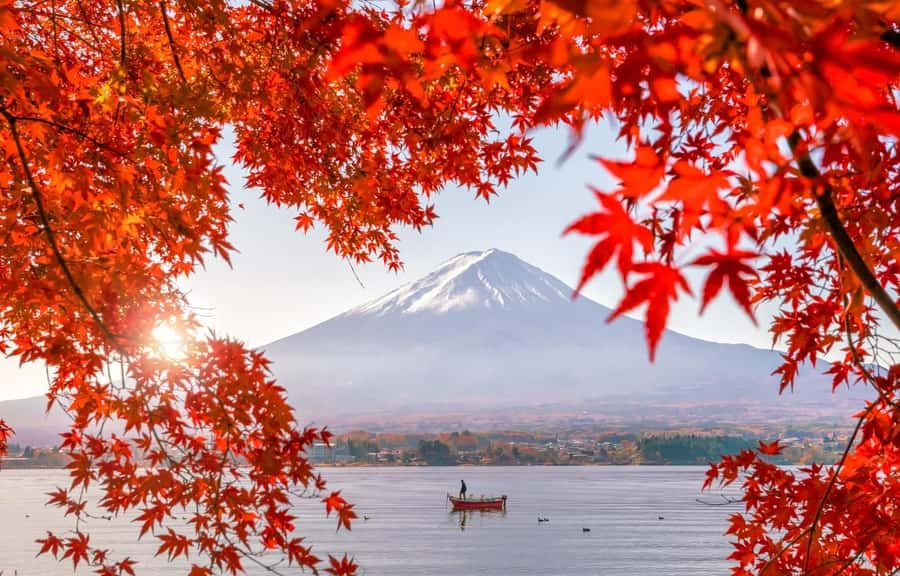 Mt. Fuji 6 Attractions Tour: Lake Kawaguchi, Oshino Hakkai - Leaving Tokyo for the foothills