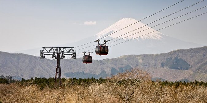 Mt Fuji and Hakone 1-Day Bus Tour Return by Bus - A practical way to see Fuji and Hakone in one day