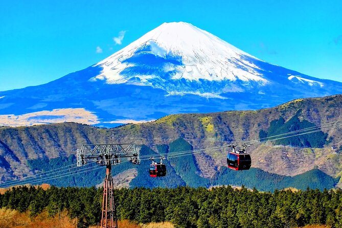Mt Fuji and Hakone 1-Day Bus Tour Return by Bus - What the $136 price really buys you