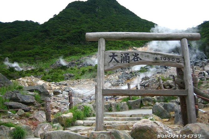 Mt. Fuji and Hakone Day Trip From Tokyo with Bullet Train Option - The Hakone Ropeway: the day’s best ride