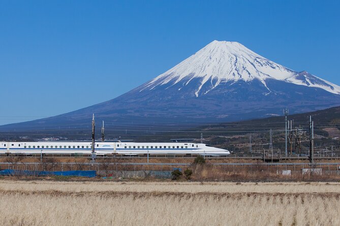 Mt. Fuji and Hakone Day Trip From Tokyo with Bullet Train Option - Lunch: convenient, but choose with care
