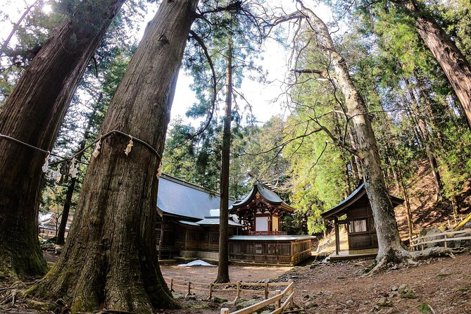Mt Fuji Area Private Guided Tours in English-Nature up close, quiet, personal - Walking through Aokigahara’s lava forest