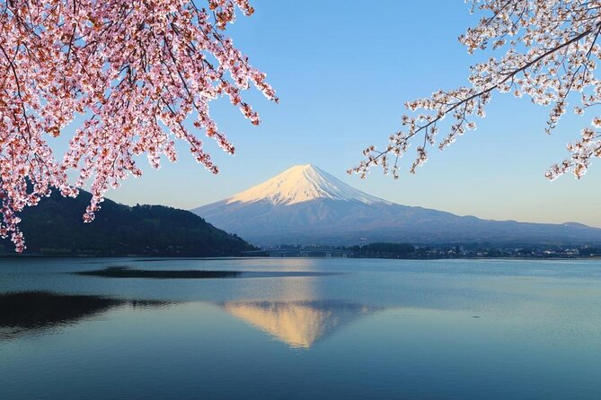 Mt. Fuji Day Trip from Tokyo with English Speaking Driver Guide - A private route from Tokyo to Japan’s most famous peak