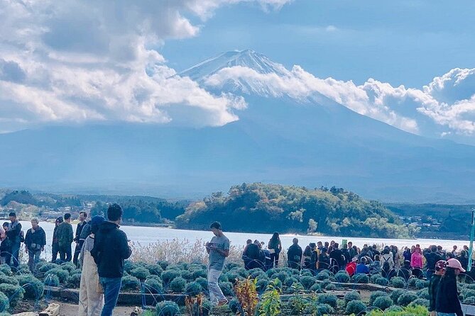 Mt. Fuji Day Trip from Tokyo with English Speaking Driver Guide - Oshino Hakkai offers a small village pause