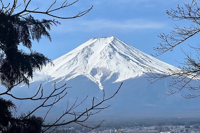 Mt. Fuji Day Trip from Tokyo with English Speaking Driver Guide - Oishi Park pairs lake and mountain views