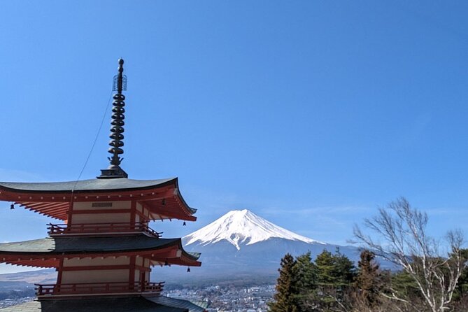 Mt. Fuji Day Trip from Tokyo with English Speaking Driver Guide - Mt. Fuji 5th Station reaches 2,300 meters