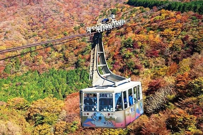 Mt Fuji & Hakone Cruise, Drum Show Bullet Train 1 Day from Tokyo - Lunch, local flavors, and the wadaiko show
