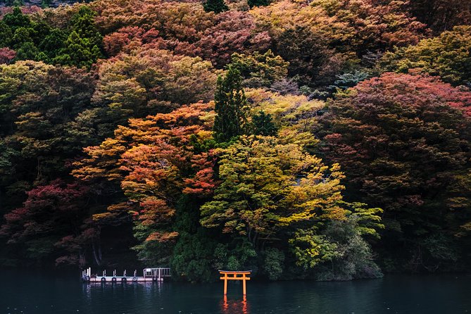 Mt Fuji & Hakone Cruise, Drum Show Bullet Train 1 Day from Tokyo - Weather, backup stops, and the real risk