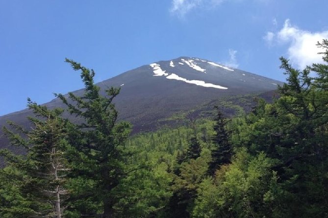 Mt Fuji & Hakone Cruise, Drum Show Bus 1 Day from Tokyo - The long coach ride and the return to Tokyo