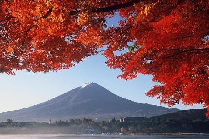 Mt Fuji & Hakone Cruise, Drum Show Bus 1 Day from Tokyo - What to bring and how to prepare