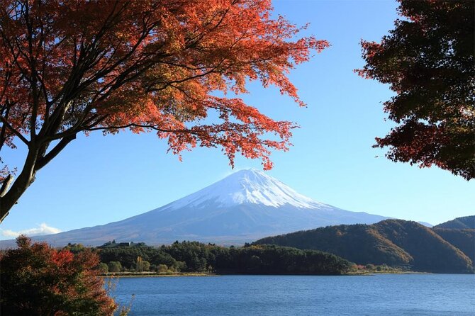 Mt Fuji & Hakone Cruise, Drum Show Bus 1 Day from Tokyo Sta. Area - What the $123.36 price really covers