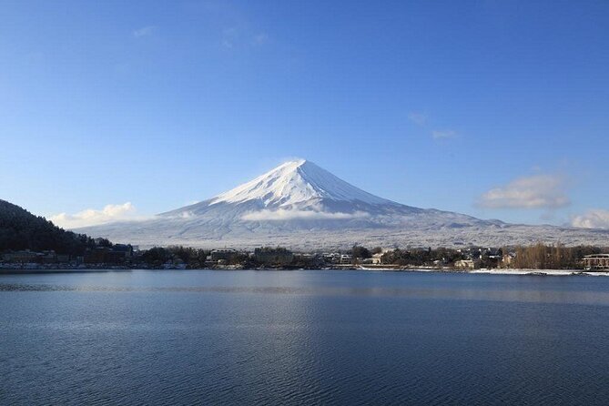 Mt Fuji & Hakone Cruise, Drum Show Bus 1 Day from Tokyo Sta. Area - Mt. Fuji 5th Station at 2,300 meters