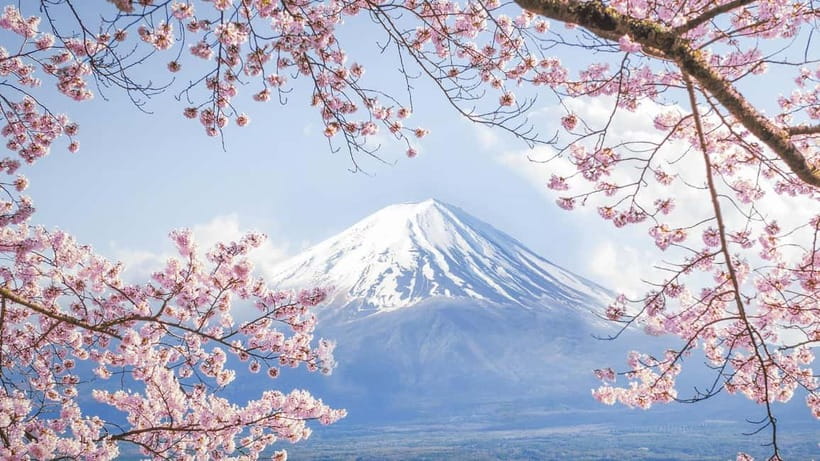 Mt.Fuji Hakone Day Tour With Lake Ashi Cruise, FREE Ropeway - Bus time, crowds, and the return to Tokyo