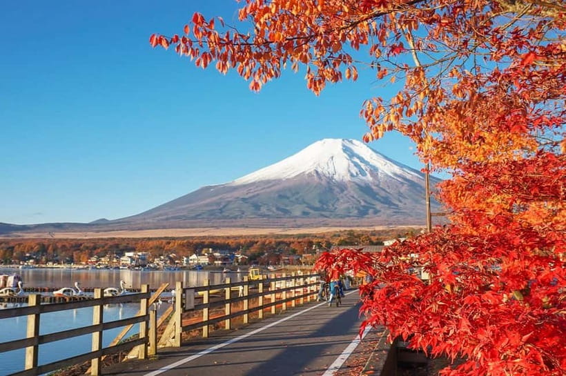 Mt Fuji Hakone/Enoshima Tour:Optional Ropeway/Lake Ashi Boat - One long day from Tokyo to Hakone and Enoshima