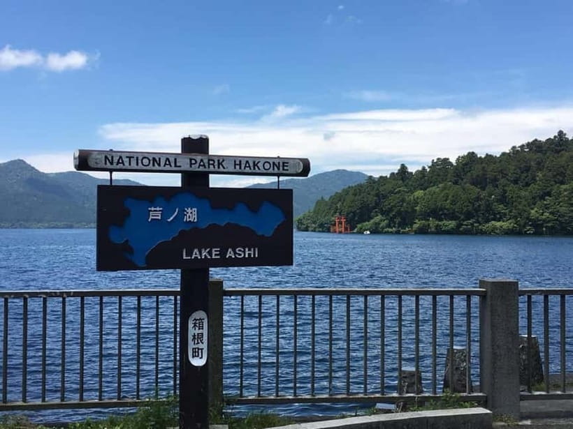 Mt Fuji Hakone/Enoshima Tour:Optional Ropeway/Lake Ashi Boat - The Hakone Ropeway over volcanic ground