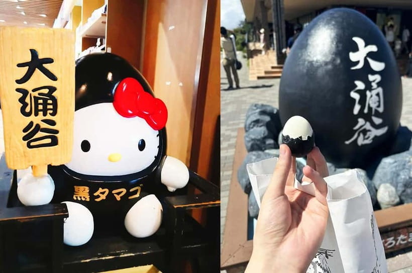 Mt Fuji Hakone/Enoshima Tour:Optional Ropeway/Lake Ashi Boat - Enoshima Shrine and its three sister goddesses