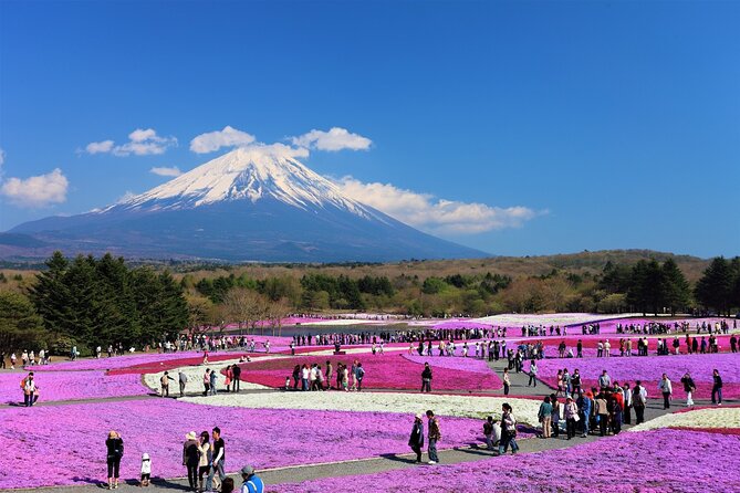 Mt. Fuji, Hakone Full-Day Private Tour with English Driver Guide - Lake Kawaguchiko offers the classic Fuji view