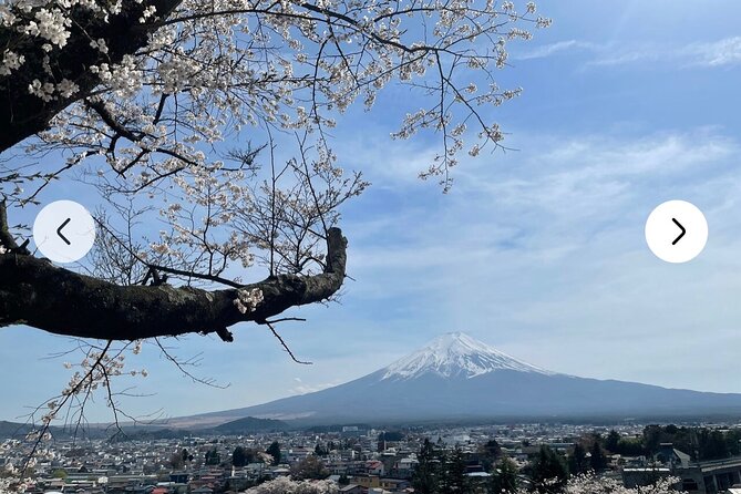Mt. Fuji, Hakone Full-Day Private Tour with English Driver Guide - Oshino Hakkai adds village atmosphere and clear spring ponds