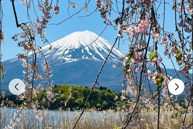 Mt. Fuji, Hakone Full-Day Private Tour with English Driver Guide - Arakurayama Sengen Park and Chureito Pagoda require patience