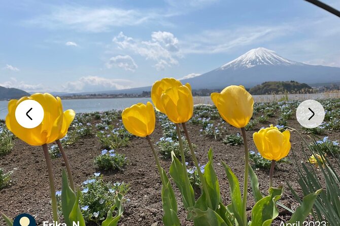 Mt. Fuji, Hakone Full-Day Private Tour with English Driver Guide - Shrines and Saiko offer a quieter side of Fuji
