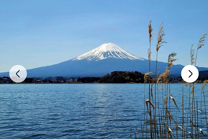 Mt. Fuji, Hakone Full-Day Private Tour with English Driver Guide - Hakone changes the mood with volcanoes and Lake Ashi
