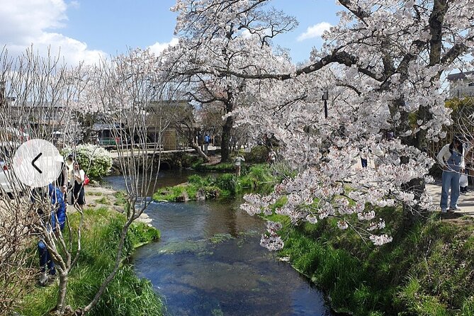 Mt. Fuji, Hakone Full-Day Private Tour with English Driver Guide - Fuji-Q Highland is a different kind of stop