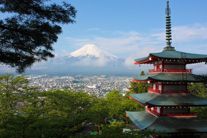 Mt. Fuji & Hakone Private Day Tour with English-Speaking Driver - Is $453.56 good value for your group?