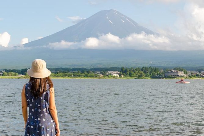 Mt. Fuji & Hakone Private Day Tour with English-Speaking Driver - Hakone Shrine and the Open-Air Museum