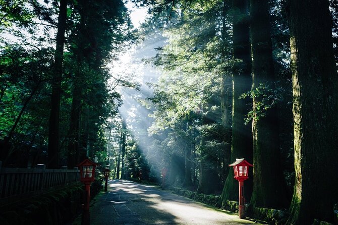 Mt. Fuji, Hakone Private Tour from Tokyo - Onsen, Arts and Nature - A 400-year-old pause at Amazake Chaya