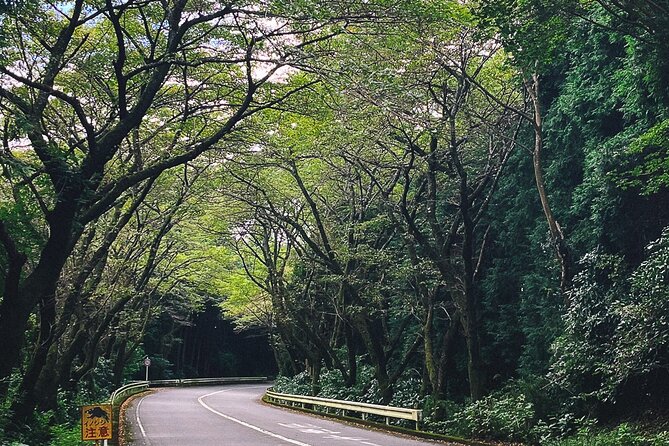Mt. Fuji, Hakone Private Tour from Tokyo - Onsen, Arts and Nature - The onsen choice at Tenzan Tohji-kyo
