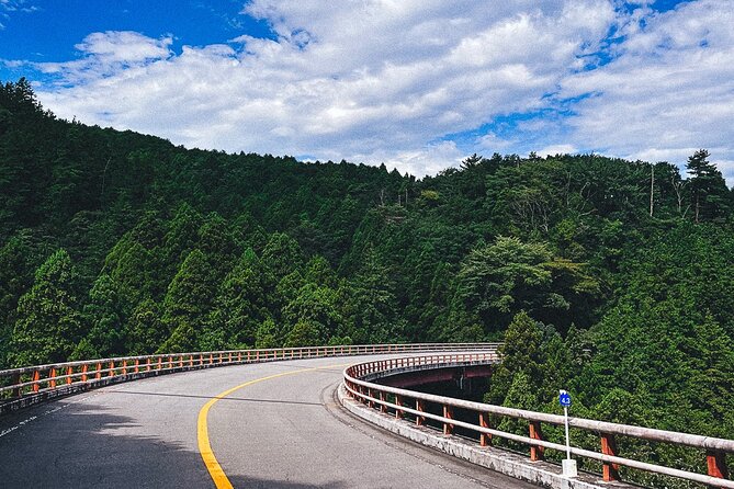 Mt. Fuji, Hakone Private Tour from Tokyo - Onsen, Arts and Nature - The Lake Ashi Skyline option