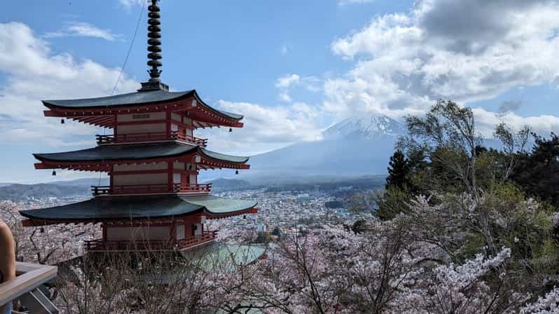 Mt Fuji & Hakone: Sightseeing Private Day Tour with Guide - A long Fuji day made easier by private transport