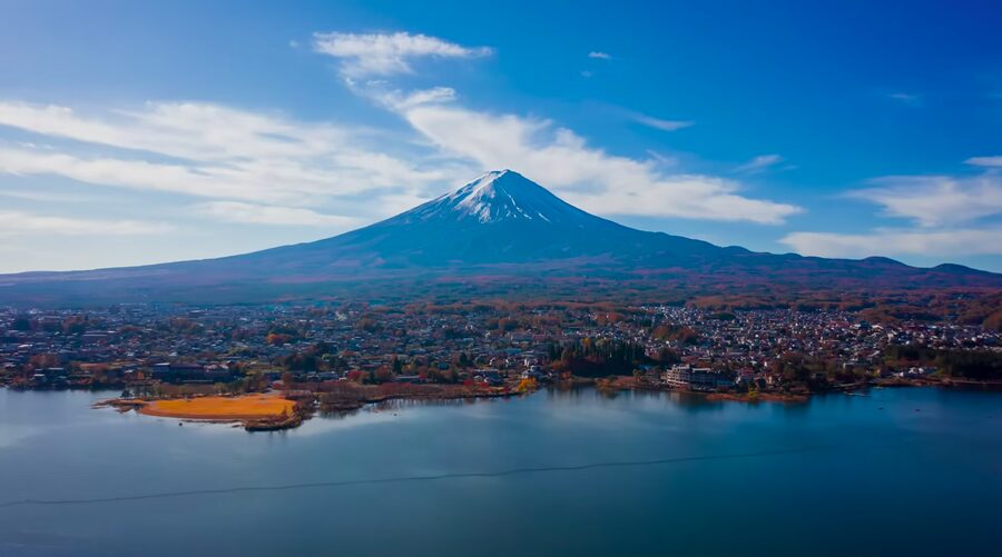 Mt Fuji & Hakone: Sightseeing Private Day Tour with Guide - Oishi Park and Lake Kawaguchiko
