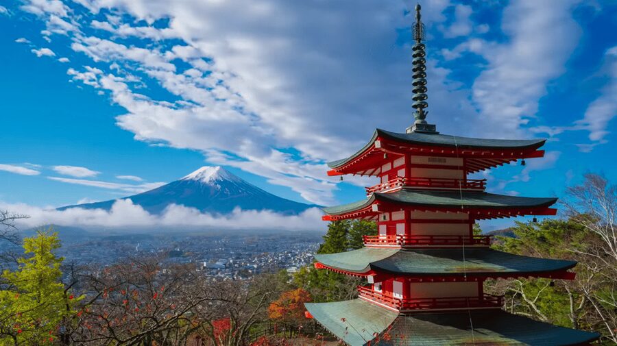 Mt Fuji & Hakone: Sightseeing Private Day Tour with Guide - Arakura Sengen Shrine and Chureito Pagoda