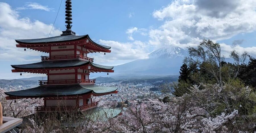 Mt Fuji & Hakone: Sightseeing Private Day Tour with Guide - What your 10 hours really look like