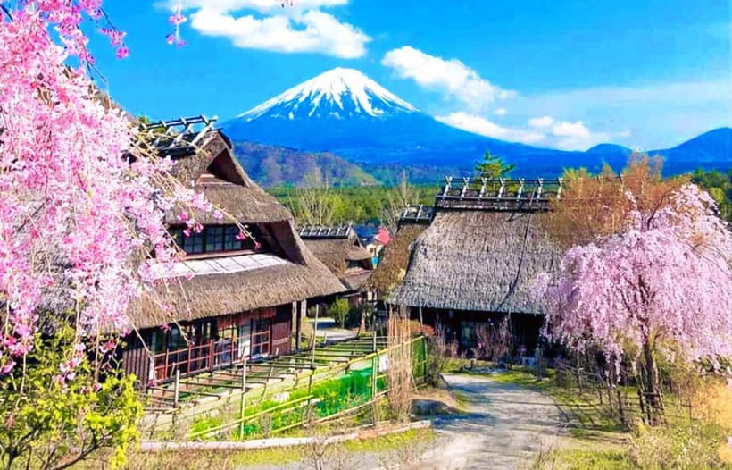 Mt. Fuji Heritage Tour: Traditional Villages, Lakes & Shrine - Why this makes sense as a first Mt. Fuji day