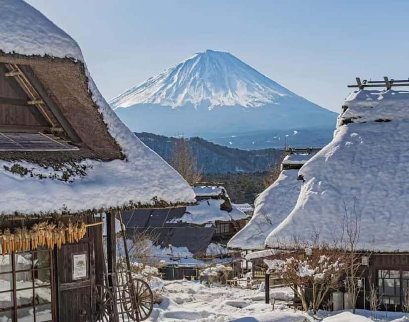 Mt. Fuji Heritage Tour: Traditional Villages, Lakes & Shrine - Lake Kawaguchi and the changing colors at Oishi Park