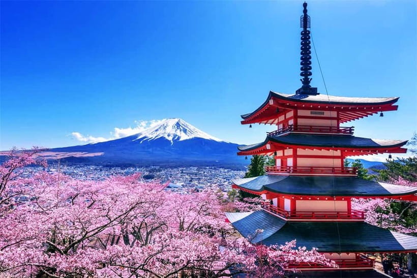 Mt. Fuji Heritage Tour: Traditional Villages, Lakes & Shrine - The famous steps at Arakurayama Sengen Park